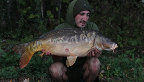 A 27 lb 15 oz carp from Jonchery 8, Callum Petchey, Oct 2022