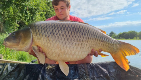 A carp from Jonchery 8, Sep 2021
