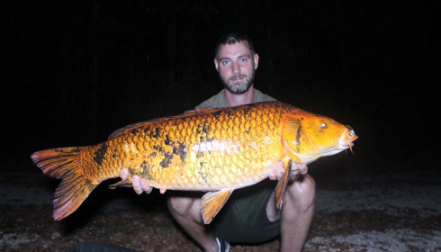 A fish from Jonchery 8, Sep 2022