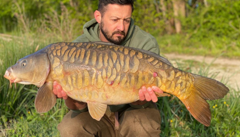 A carp from Jonchery 8, May 2022