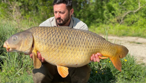 A carp from Jonchery 8, May 2022