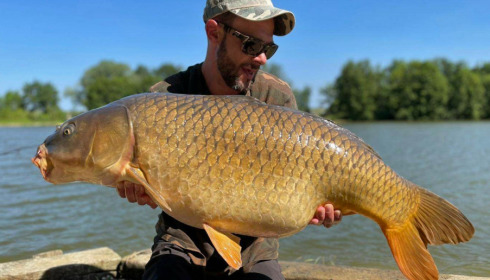 A carp from Jonchery 8, Jul 2021