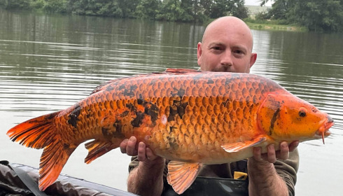 A fish from Jonchery 8, Gareth, Oct 2021