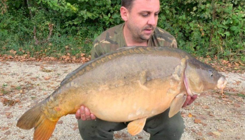 A carp from Jonchery 8, Sep 2021