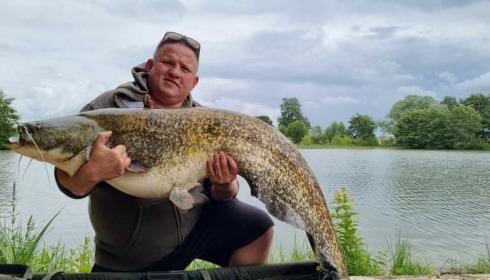 A catfish from Jonchery 8, Sep 2021