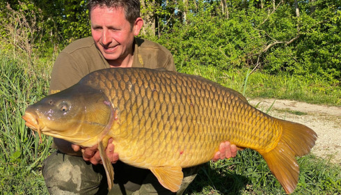 A carp from Jonchery 8, May 2022