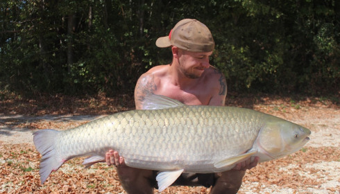 A grass carp from Jonchery 8, Sep 2022