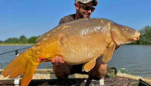 A carp from Jonchery 8, Jul 2021