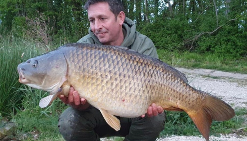 A carp from Jonchery 8, May 2022