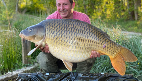 A carp from Jonchery 8, May 2022