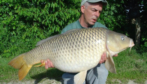 A carp from Jonchery, Jun 2013