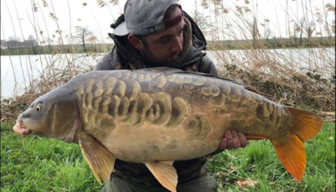 A carp from Jonchery, Apr 2019