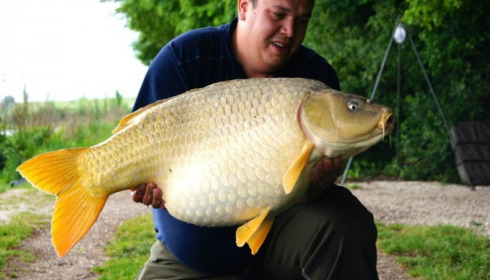 A carp from Jonchery, May 2014