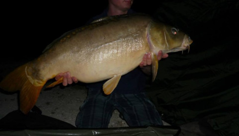 A carp from Jonchery, Jul 2013