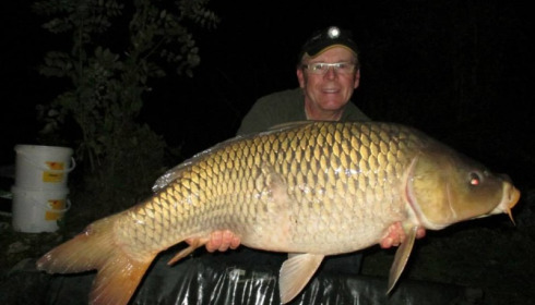 A carp from Jonchery, Sep 2014