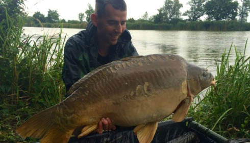 A carp from Jonchery, Jul 2014
