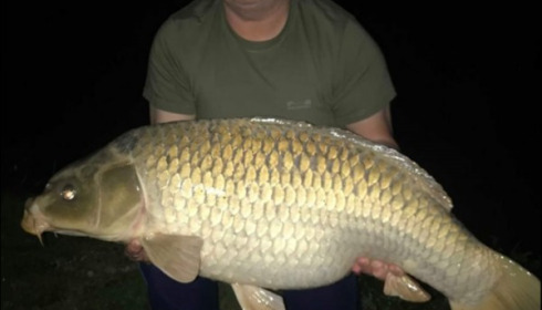 A carp from Jonchery, Jun 2019