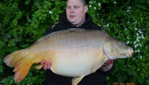 A carp from Jonchery, Swim 6, May 2014