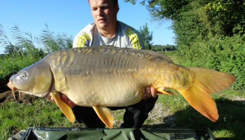 A carp from Jonchery, Jul 2014