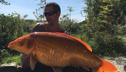 A 30 lb 8 oz carp from Jonchery, Lee Ashworth, Sep 2016