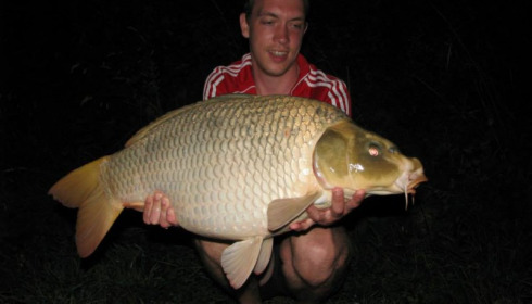 A carp from Jonchery, Jul 2014