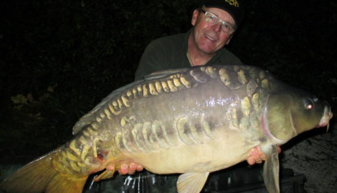 A carp from Jonchery, Sep 2014