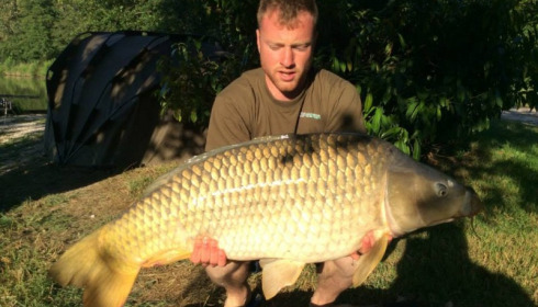 A carp from Jonchery, Jun 2014