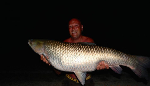 A grass carp from Jonchery, Jul 2014