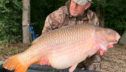 A carp from Jonchery, David Gates, Oct 2021