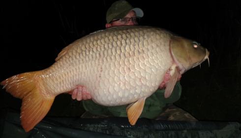 A 45 lb carp from Jonchery, Dave Pillman, Sep 2019