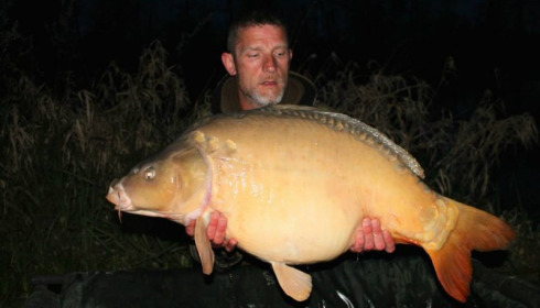 A carp from Jonchery, Swim 2, Apr 2014