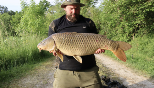 A fish from Jonchery, May 2023