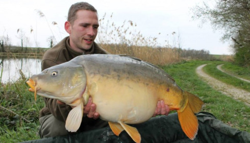 A carp from Jonchery, Swim 3, Apr 2014