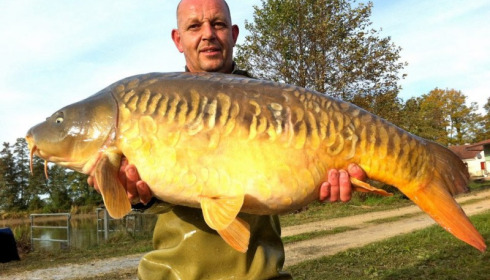 A carp from Jonchery, Nov 2012