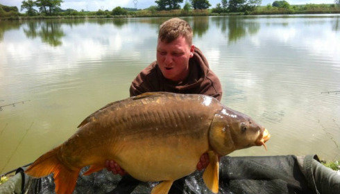 A carp from Jonchery, May 2014
