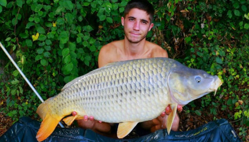 A carp from Jonchery, Kevin, Swim 6, Sep 2016