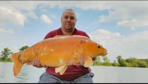 A carp from Jonchery, May 2019