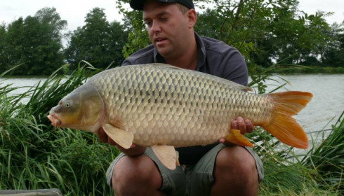 A carp from Jonchery, Aug 2013