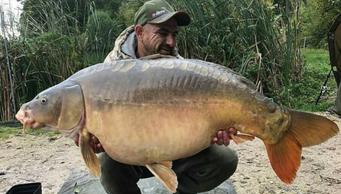A 50 lb carp from Jonchery, Craig, Oct 2017