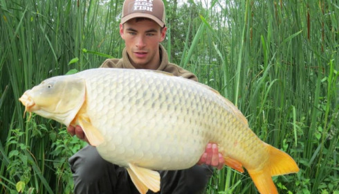 A carp from Jonchery, Jun 2013