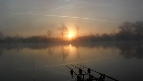 A carp from Jonchery, Jason Fox, Apr 2017