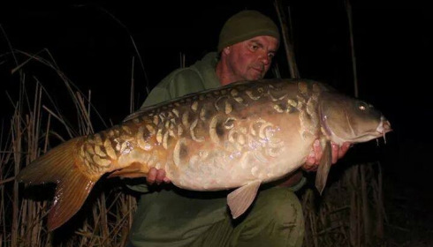 A carp from Jonchery, Nick Burrage, Mar 2015