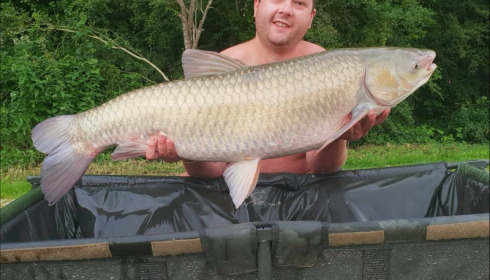 A carp from Jonchery, Jun 2018