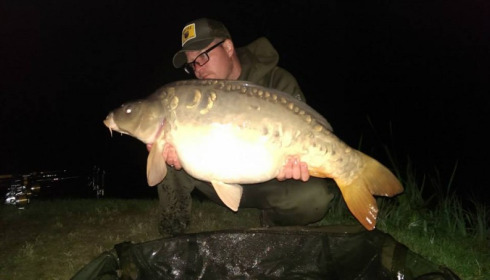 A carp from Jonchery, Oct 2014