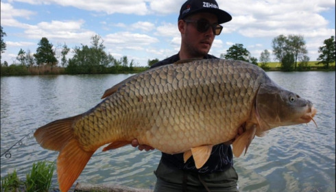 A carp from Jonchery, May 2019