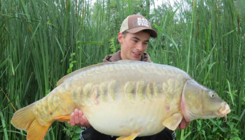 A carp from Jonchery, Jun 2013