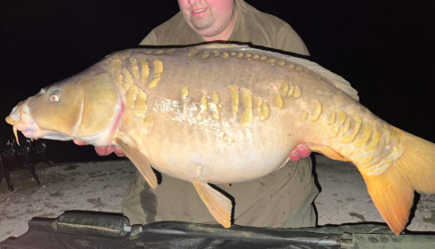 A fish from Jonchery, May 2022