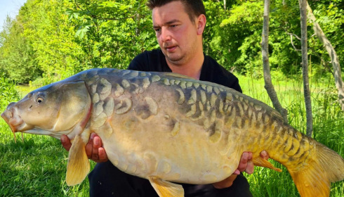 A carp from Jonchery, May 2021
