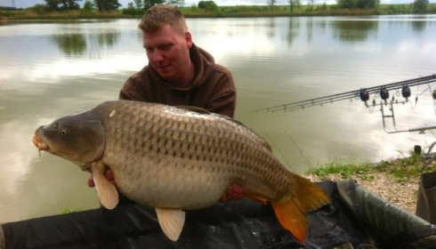A carp from Jonchery, May 2014