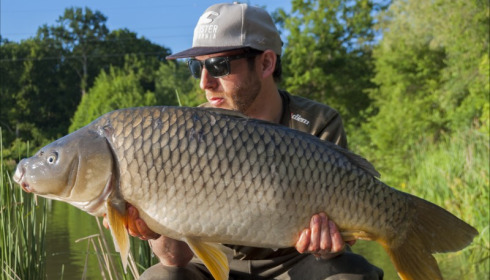A carp from Jonchery, Owain Rees, Jun 2019